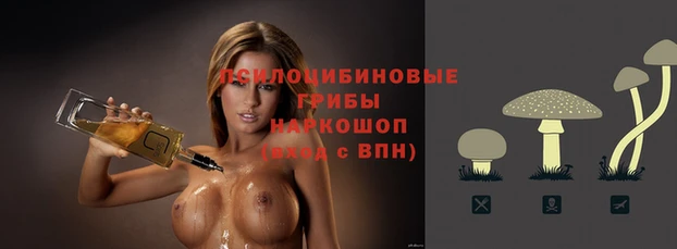 apvp Балабаново
